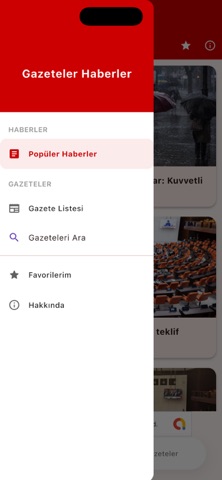 Gazeteler Son Dakika Haberler iPhone screenshot 2