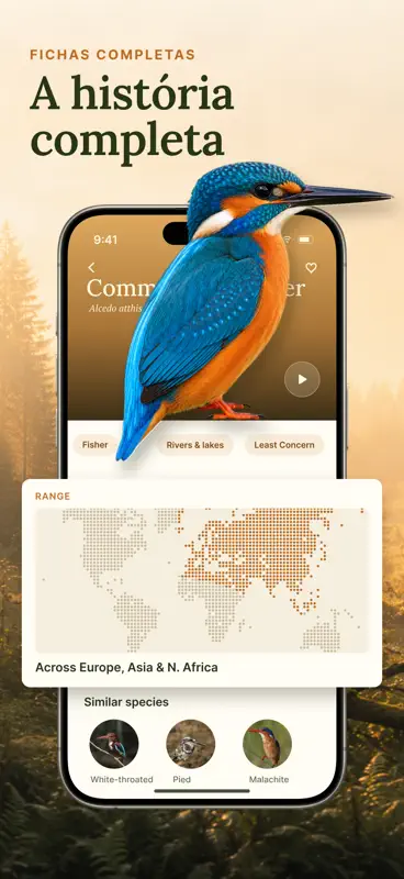 Birdio: Canto de Pássaros screenshot 3 of 5