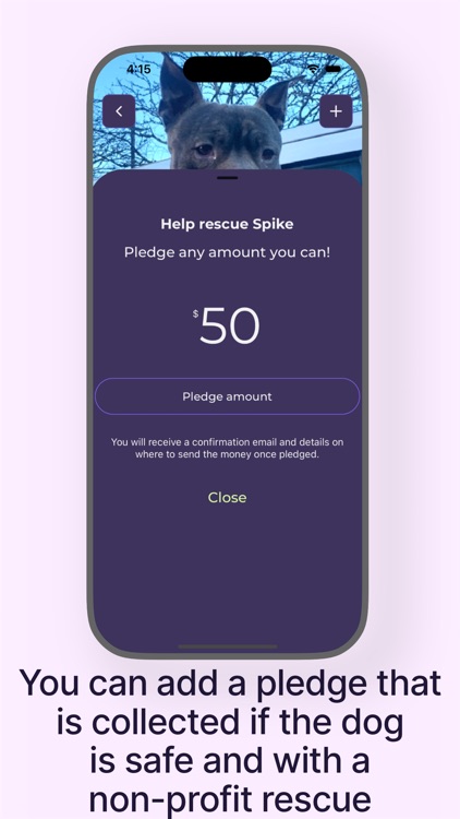 shelterdogsko screenshot-4