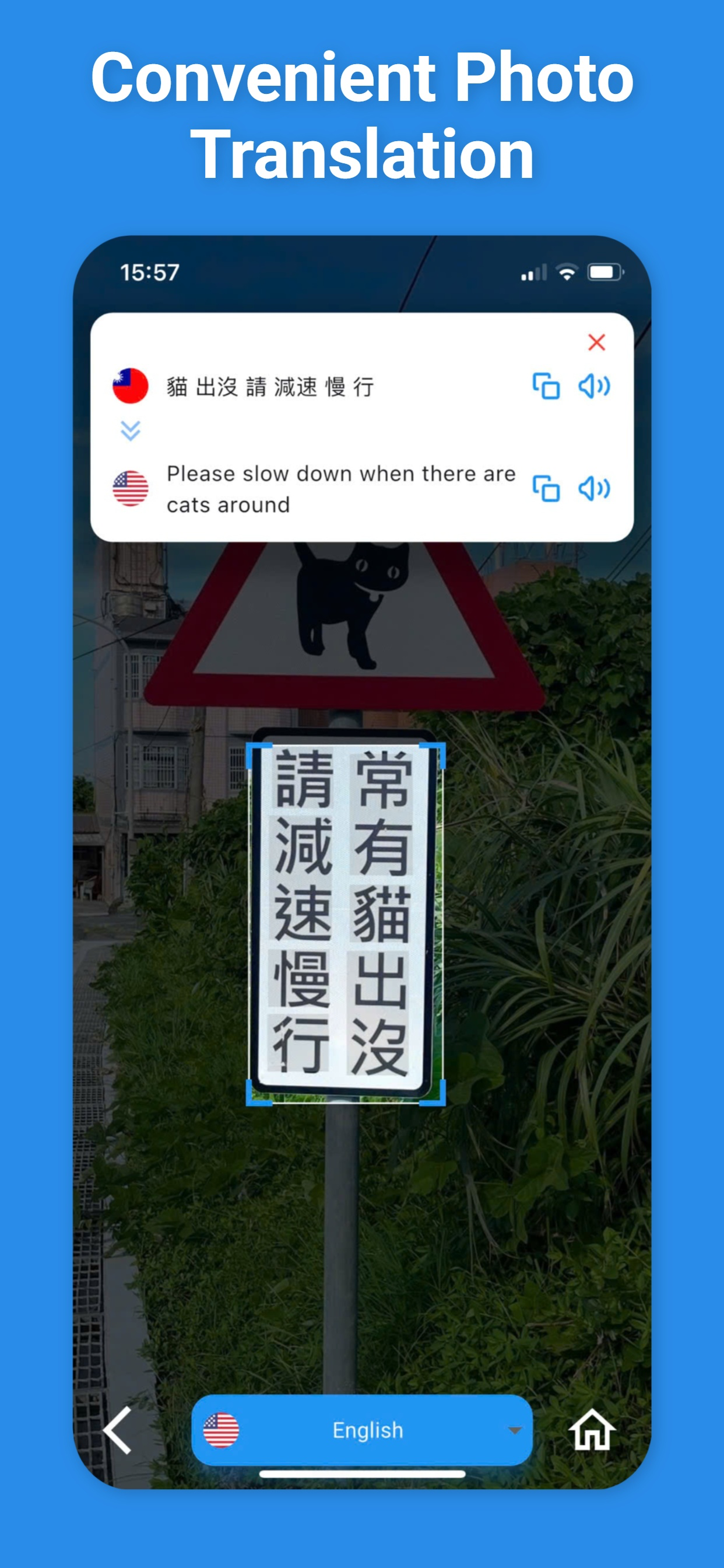 Taiwanese Translator & More +