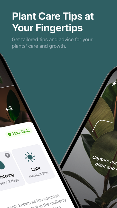 Planty | Plant Finder,Plant ID Screenshot