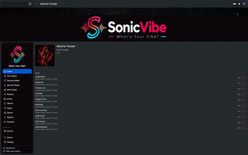 SonicVibe Music Streamer screenshot