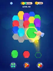 royal hexa puzzle ipad images 3