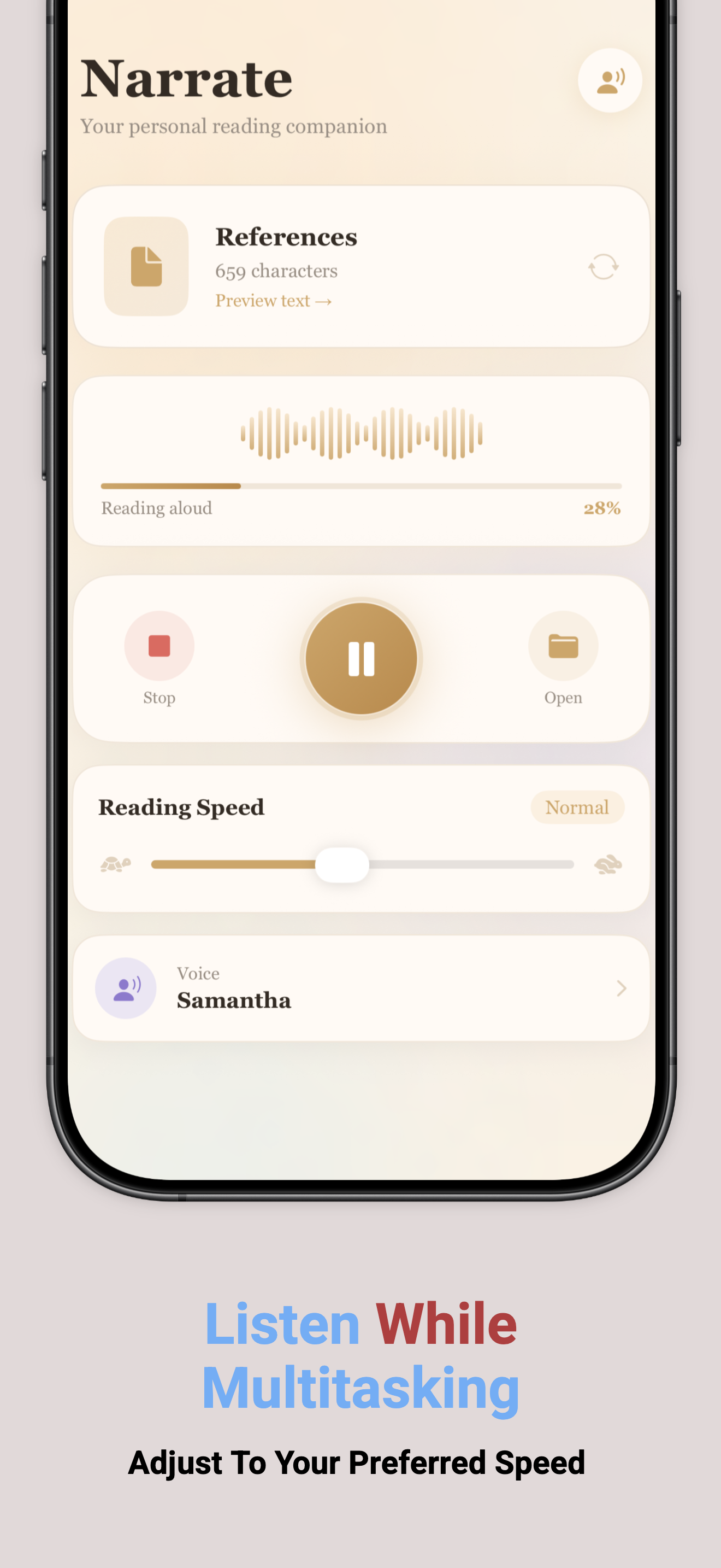 Text to Audio: PDF screenshot 3