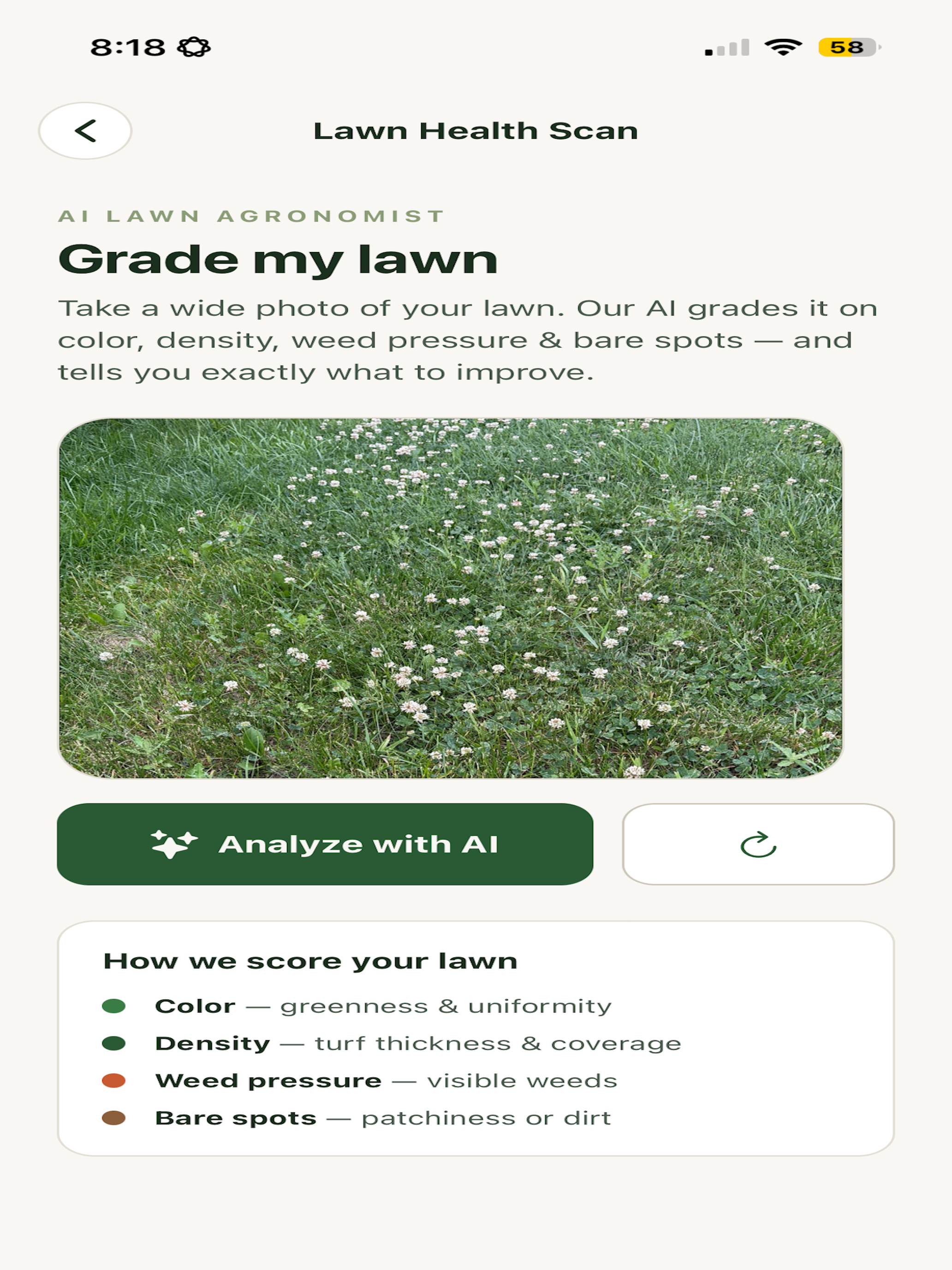 Lawn Wellness screenshot 13