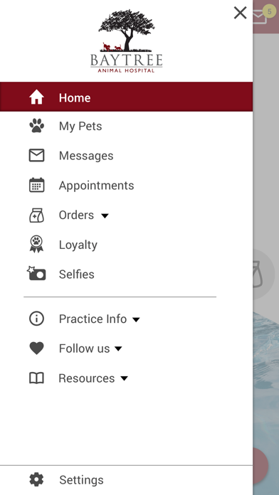 Baytree Animal Hospital Screenshot