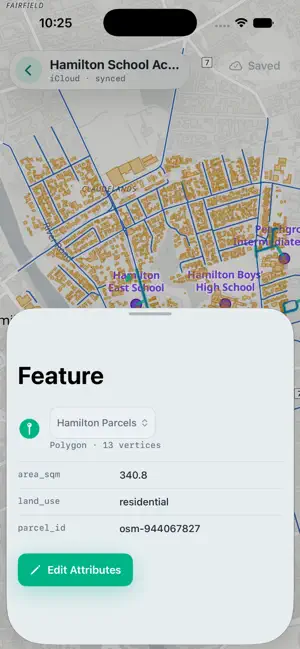 Meridian GIS screenshot 3