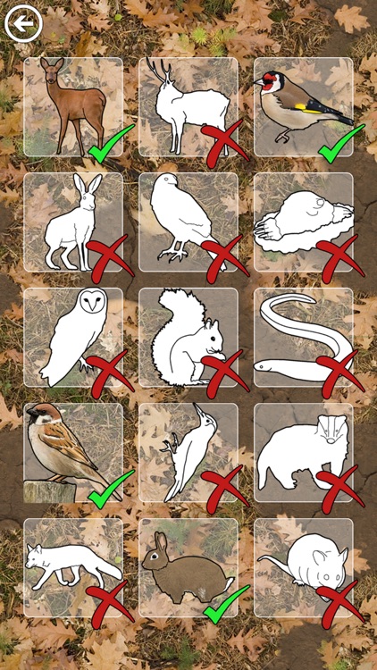 Wildlife UK screenshot-5