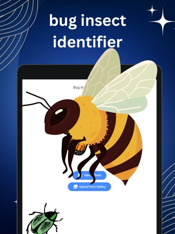 Bug Insect Identifier: spider iPad screenshot