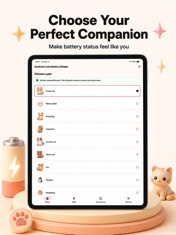 Aesthetic Battery Pet Widget iPad screenshot