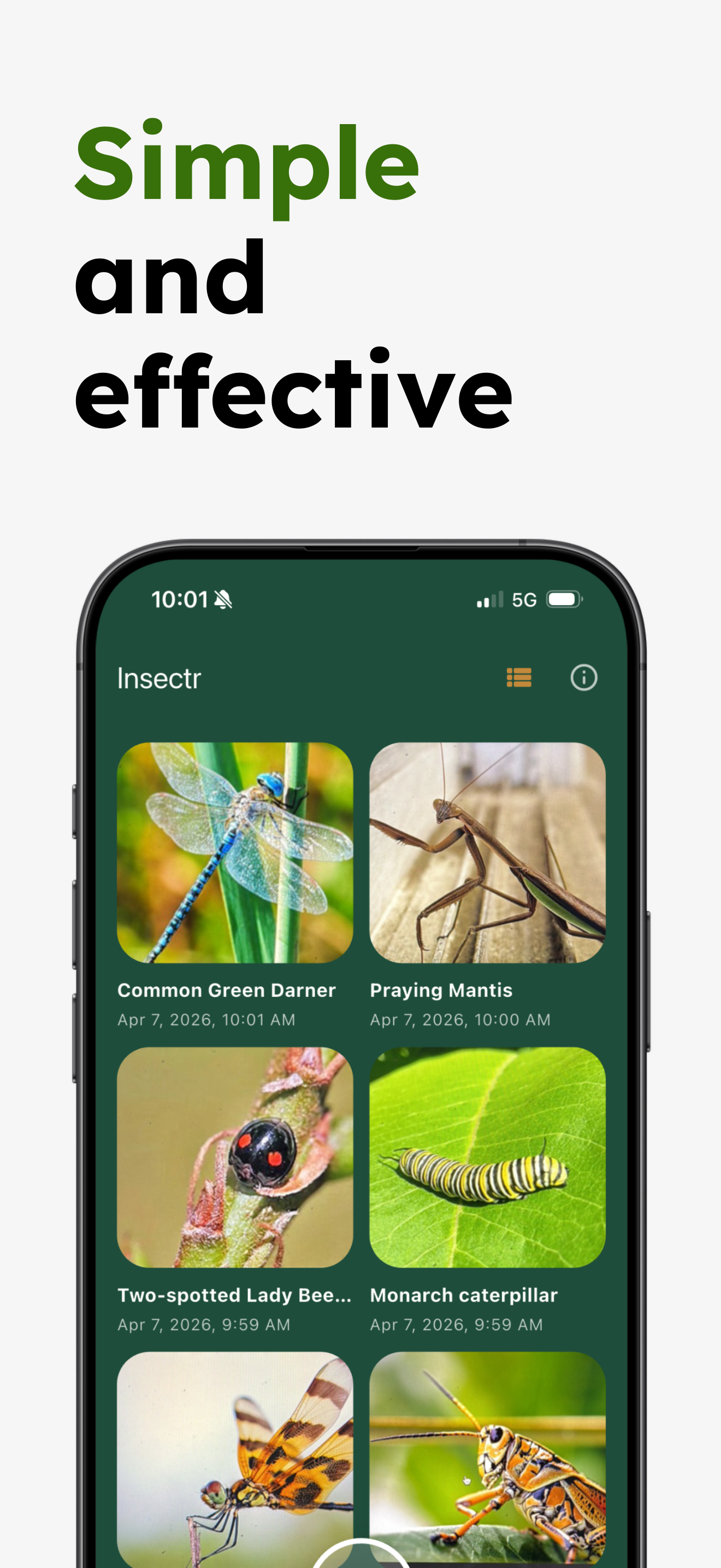 Insect Identifier - Insectr