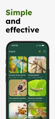 Insect Identifier - Insectr Screenshot 5 of 5