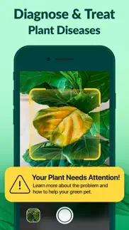 plantguru - plant care guide problems & solutions and troubleshooting guide - 2