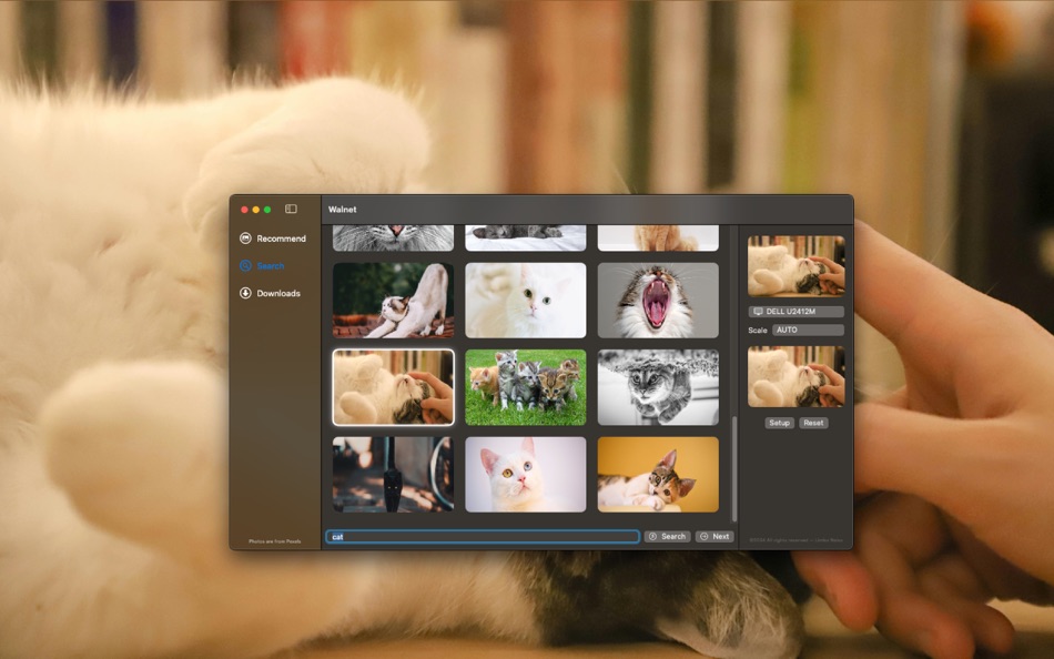 #3. Walnet (macOS) 由: 金凯 朱