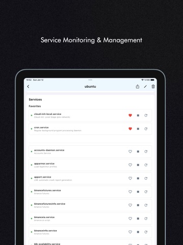 Serverhub.dev ipad screenshot 2