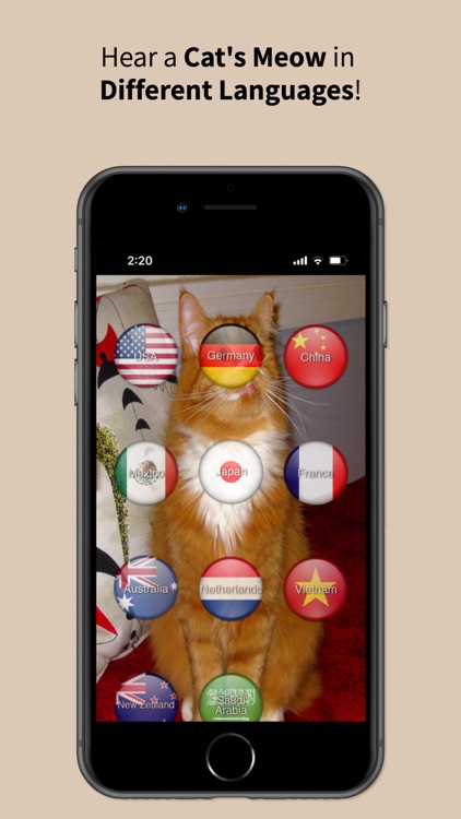 Animal Sounds Translator screenshot-3