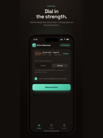 Echo Remover: Voice Cleanup iPad screenshot
