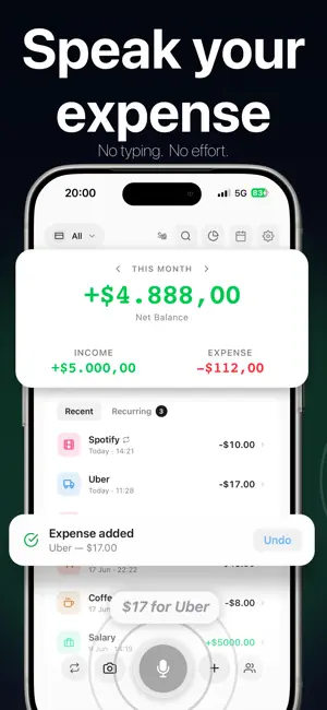 Expense Tracker: SpendVoice screenshot 1