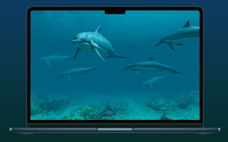 Screenshot #3 pour Screen Wonders