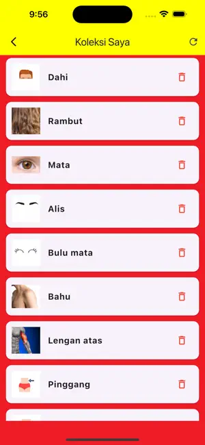 Learning Indonesian Body Parts screenshot 3