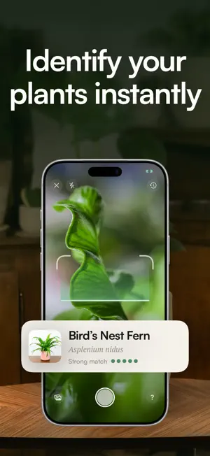 Frond: plant care & identifier screenshot 3