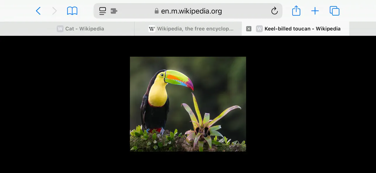 Screenshot #2 pour ReTab - Tab Switch for Safari
