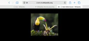 ReTab - Tab Switch for Safari screenshot 2