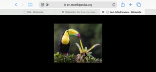 ReTab - Tab Switch for Safari screenshot