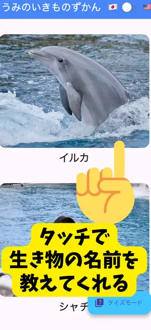 触って遊べる海の生き物図鑑 screenshot 1