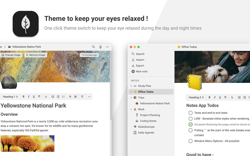 #2. Quill - Notes app (macOS) 由: ASHVIN SUTHAR