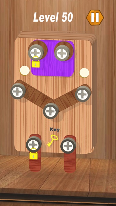 Wood Screw Puzzle Adventure Screenshot