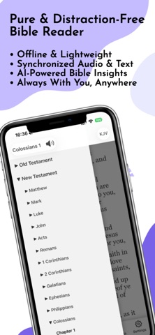 Holy Bible - Daily Verse KJV iPhone screenshot
