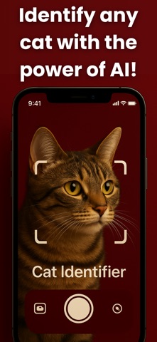 Cat Breed Identifier: AI Scan screenshot