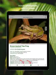 frogs of southern africa ipad images 4