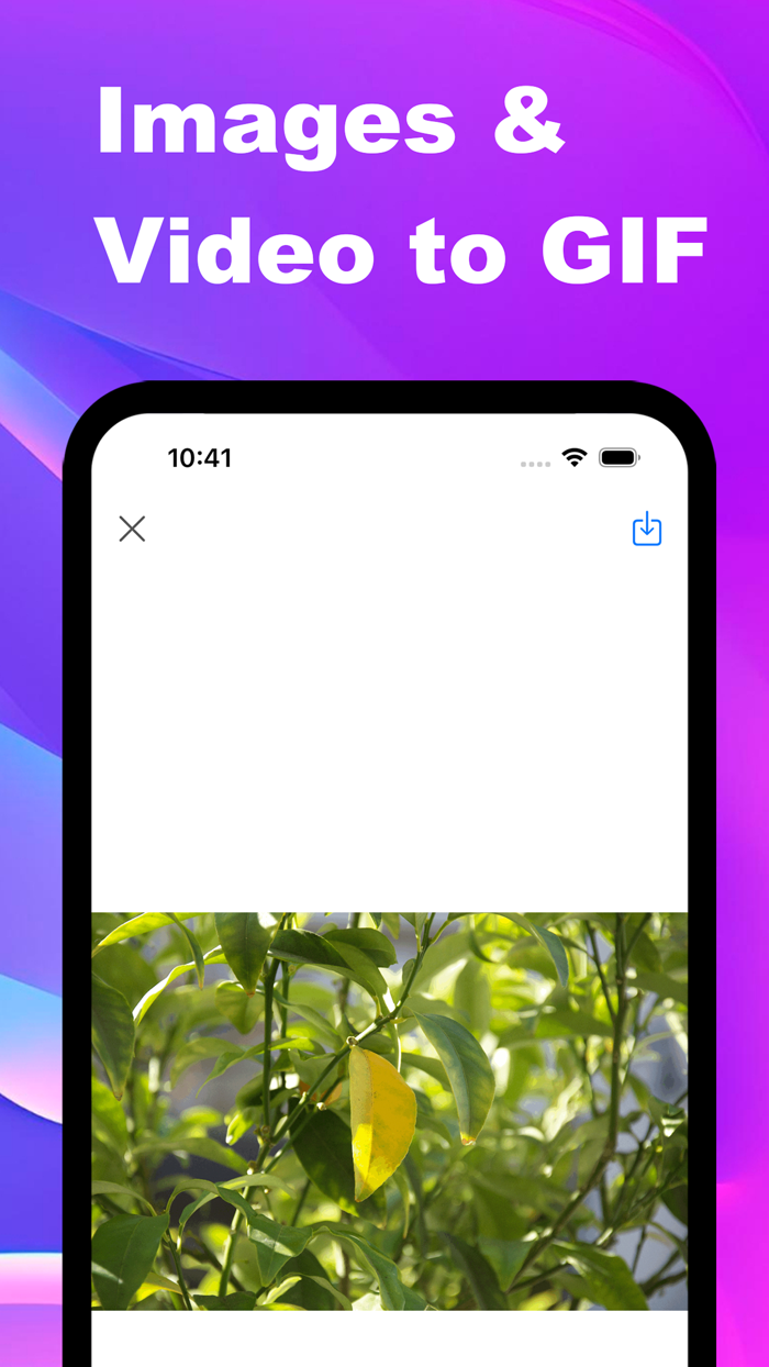 ImageToGif Converter  Editor