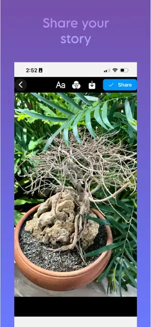 Aycoro screenshot 3