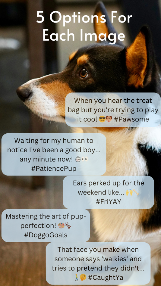 #8. Capit AI Image Captions (iOS) 由: Swift Fox Software LLC