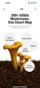 Mushroom Map: Spots near you screenshot