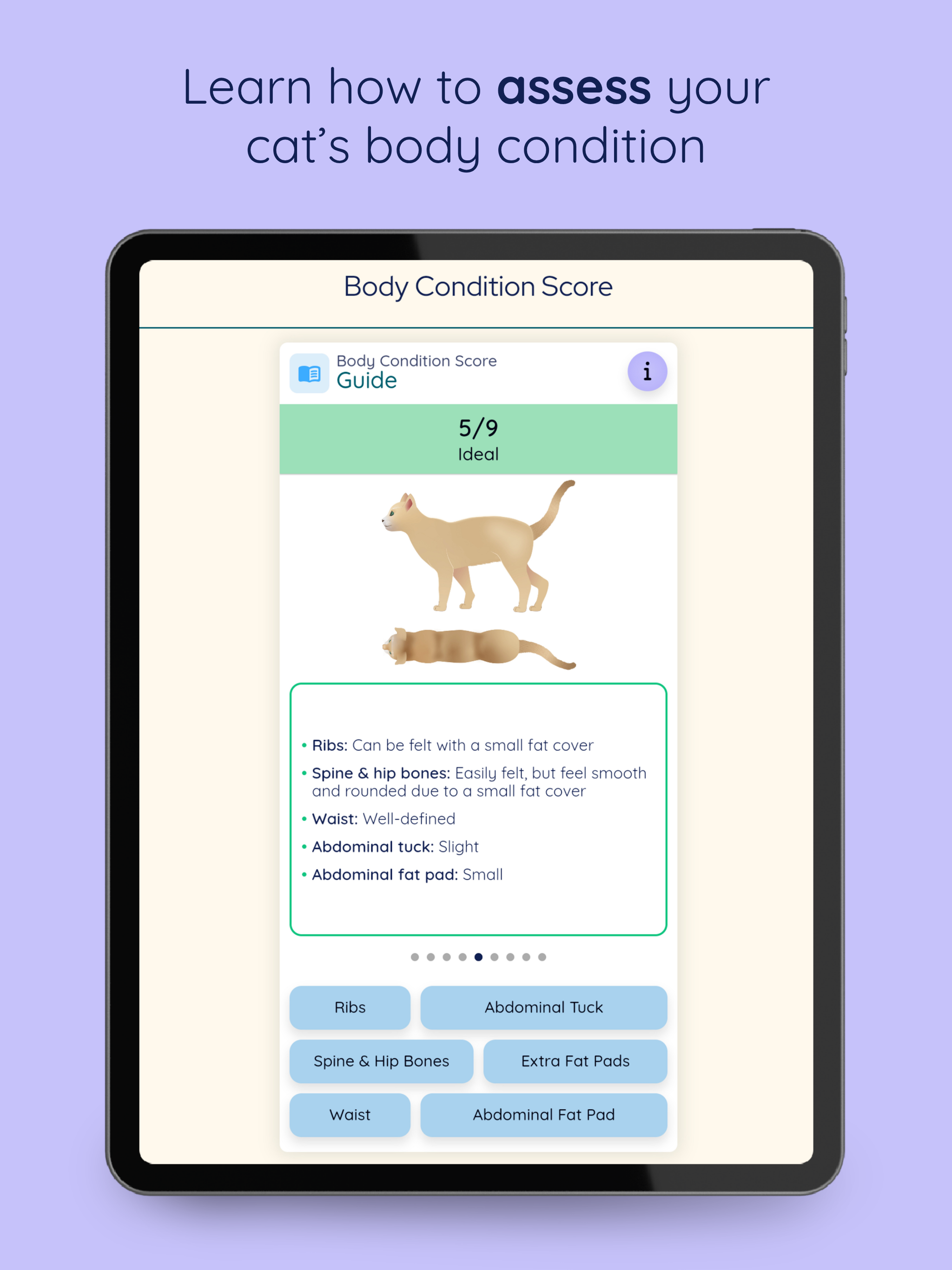 Cat Weight Kit: Weight Tracker screenshot 10