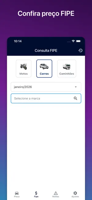 Consulta Placa Fácil -Veículos screenshot 3