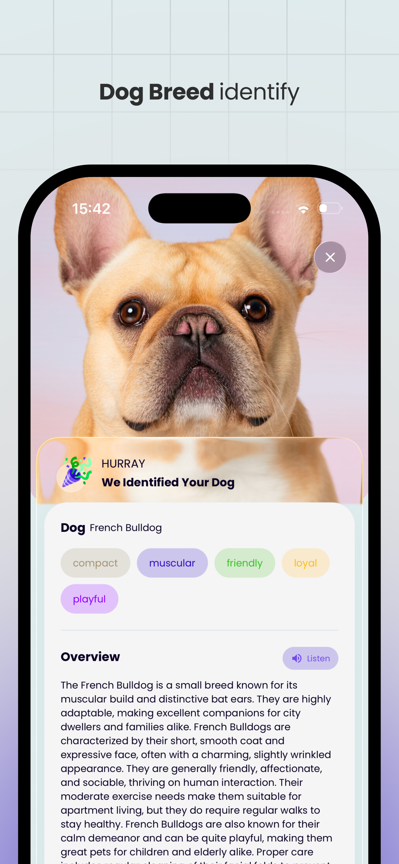 Petify: AI Pet Photo Editor