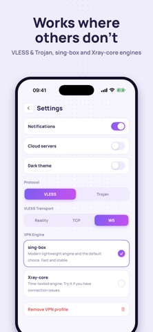 VPN Ninja: Fast VLESS Proxy Screenshot 4 of 5