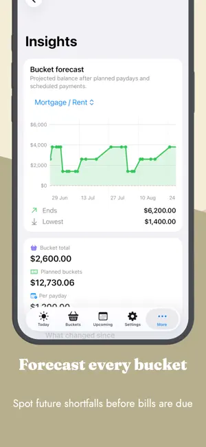 Payday Buckets screenshot 4