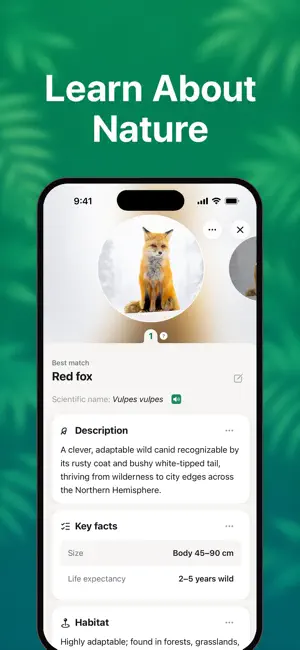NatureLens: Plant Identifier screenshot 3
