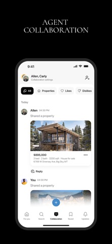 Life In Big Sky screenshot