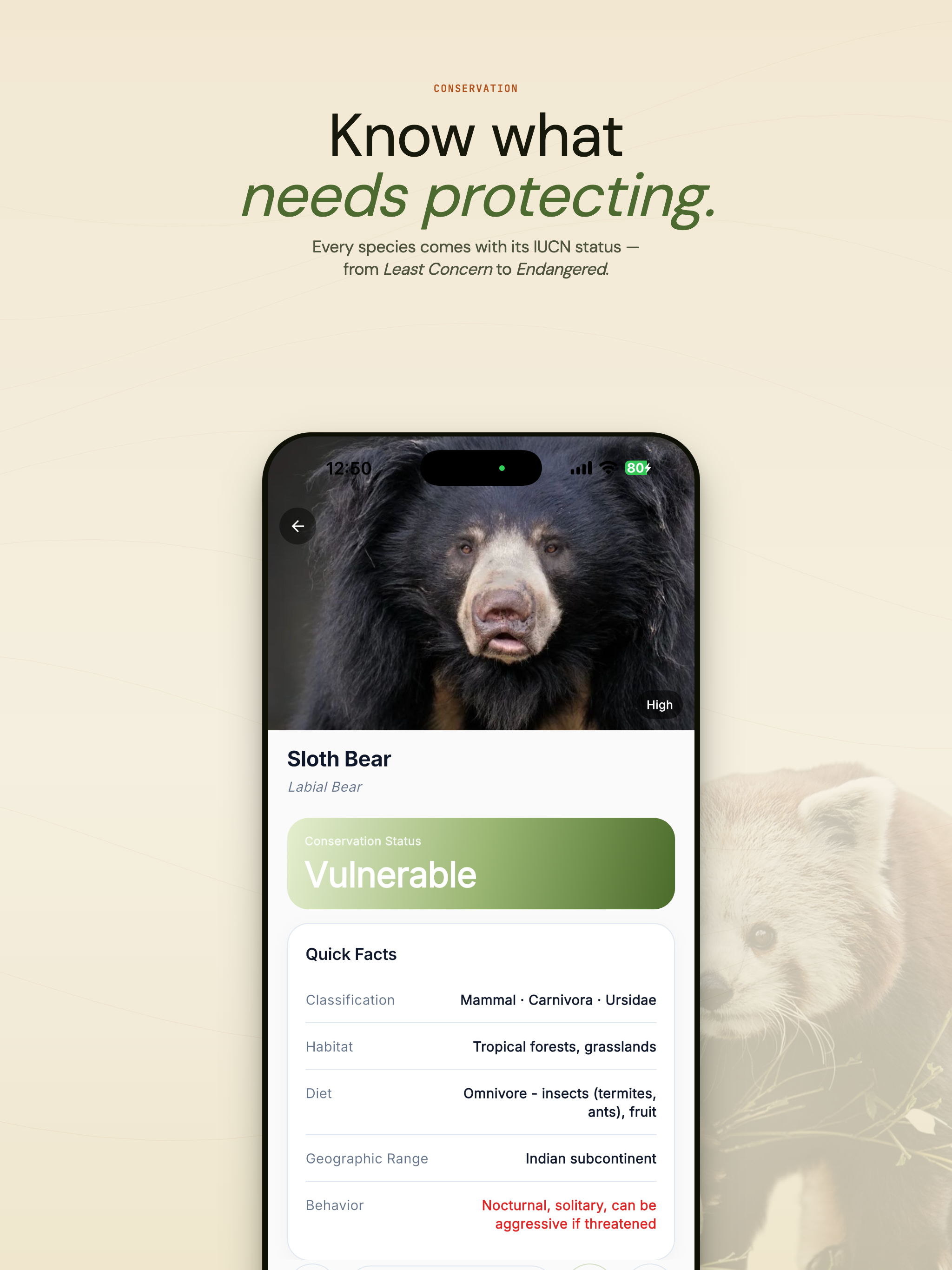 Animal Identifier: ID Species