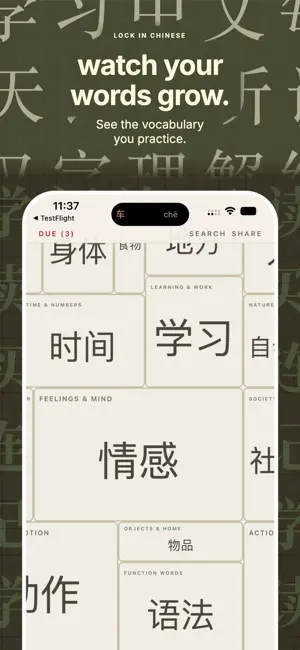 Lock In Chinese: Learn Hanzi screenshot 3