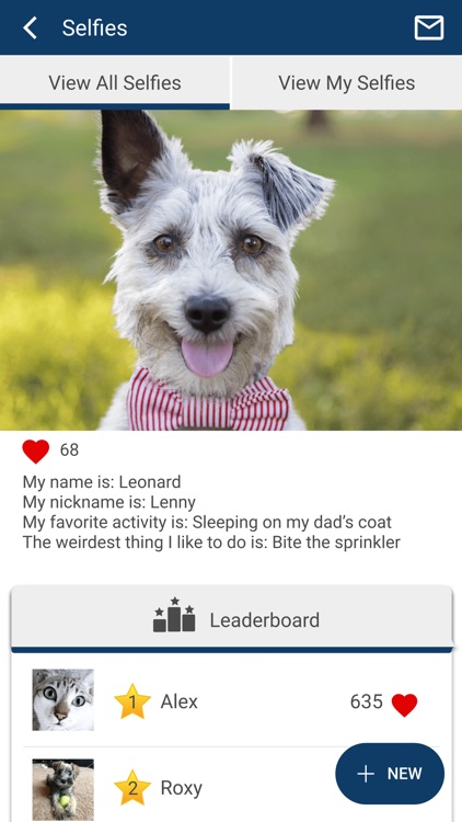 Companion Pet Care NH screenshot-3