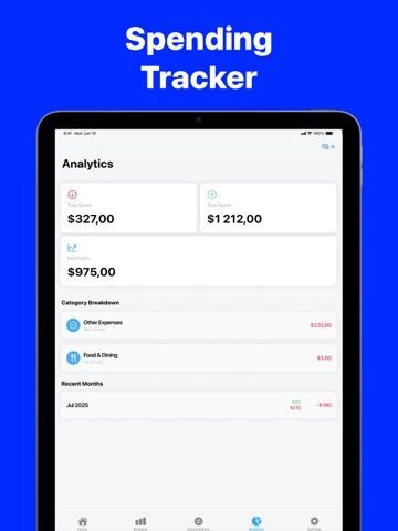 Budget Planner and Tracker iPad screenshot