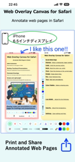 Web Overlay Canvas for Safari screenshot 2